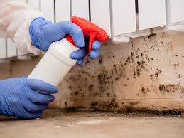 Best Biohazard Mold Removal  in Dakota Dunes, SD